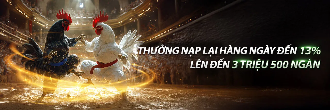 Hoàn trả thể thao K8